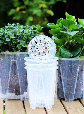 透明可视空气柱控根盆绿植园艺盆栽石斛蝴蝶兰月季扦插观根种植盆