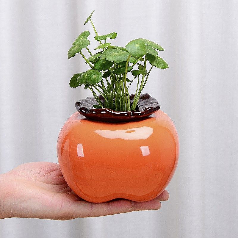 创意柿子花瓶陶瓷水养绿萝水培花盆花器客厅桌面办公桌装饰品摆件,淘宝优惠券,粉丝福利购,淘宝优惠卷