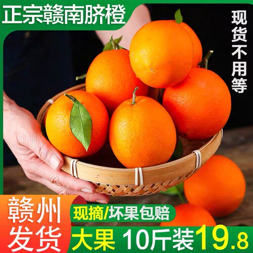 【平晏果园】正宗赣南脐橙甜橙子当季新鲜水果整箱果冻橙产地直发 - 图0
