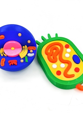 3D打印创意十足动物植物细胞以及细菌模型摆件初高中学习生物道具