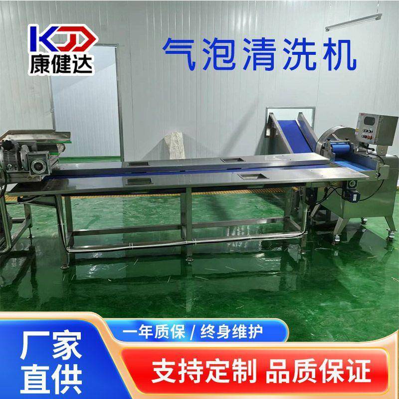 蔬菜鼓泡翻浪清洗设备洗菜洗果机水循环喷淋式果蔬气泡清洗机 - 图0