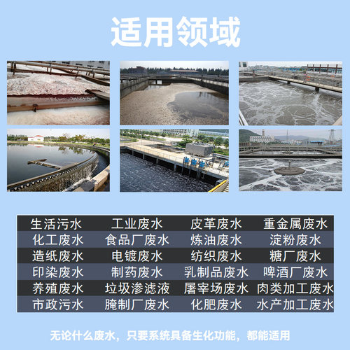 污水处理菌种好氧菌种复合菌种厌氧菌种活性污泥降氨氮COD总氮 - 图2