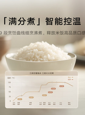小米IH电饭煲S15L大容量
