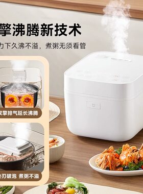 小米快煮电饭煲4L大容量