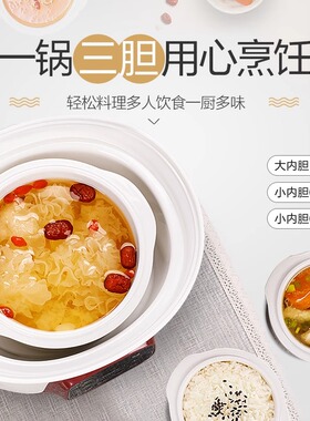 苏泊尔 迷你电炖锅白陶瓷燕窝炖盅家用煲汤锅DZ25YC831
