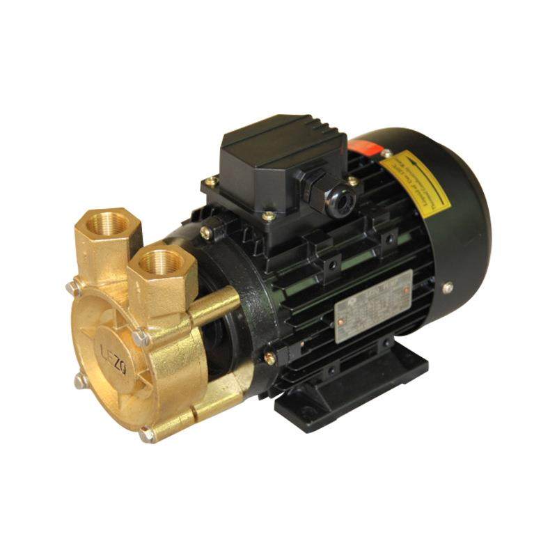 供应TS-63(TS-71)泵高温旋涡泵TP55热水热油循环泵水泵,淘宝优惠券,粉丝福利购,淘宝优惠卷