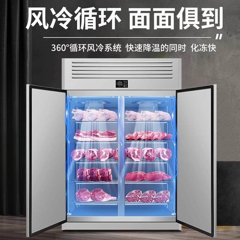 解冻柜商用高压静电低温高湿冷藏缓化和牛抑菌化冻机排酸柜,淘宝优惠券,粉丝福利购,淘宝优惠卷