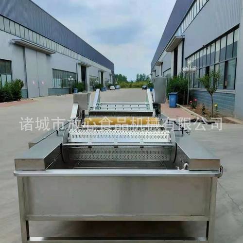 刀鱼清洗机 带鱼清洗机 不锈钢海鲜清洗机定做 全自动清洗机 - 图1