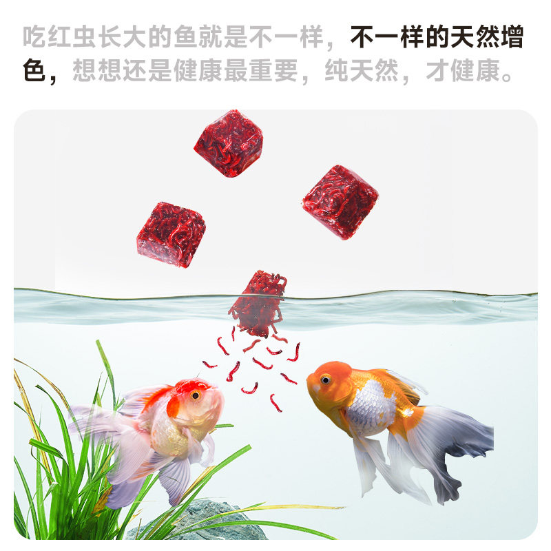 yee红虫冰冻鱼食牛心汉堡红线虫水蚤丰年虾罗汉鱼粮七彩神仙饲料,淘宝优惠券,粉丝福利购,淘宝优惠卷