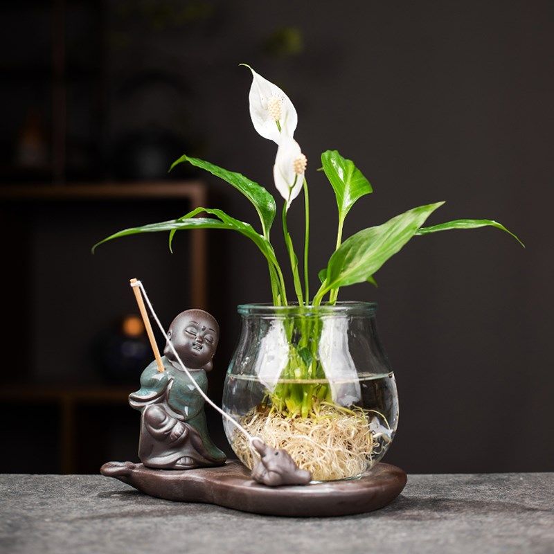 创意水培白掌玻璃瓶透明水养绿萝花瓶客厅植物摆件情侣可爱小花,淘宝优惠券,粉丝福利购,淘宝优惠卷