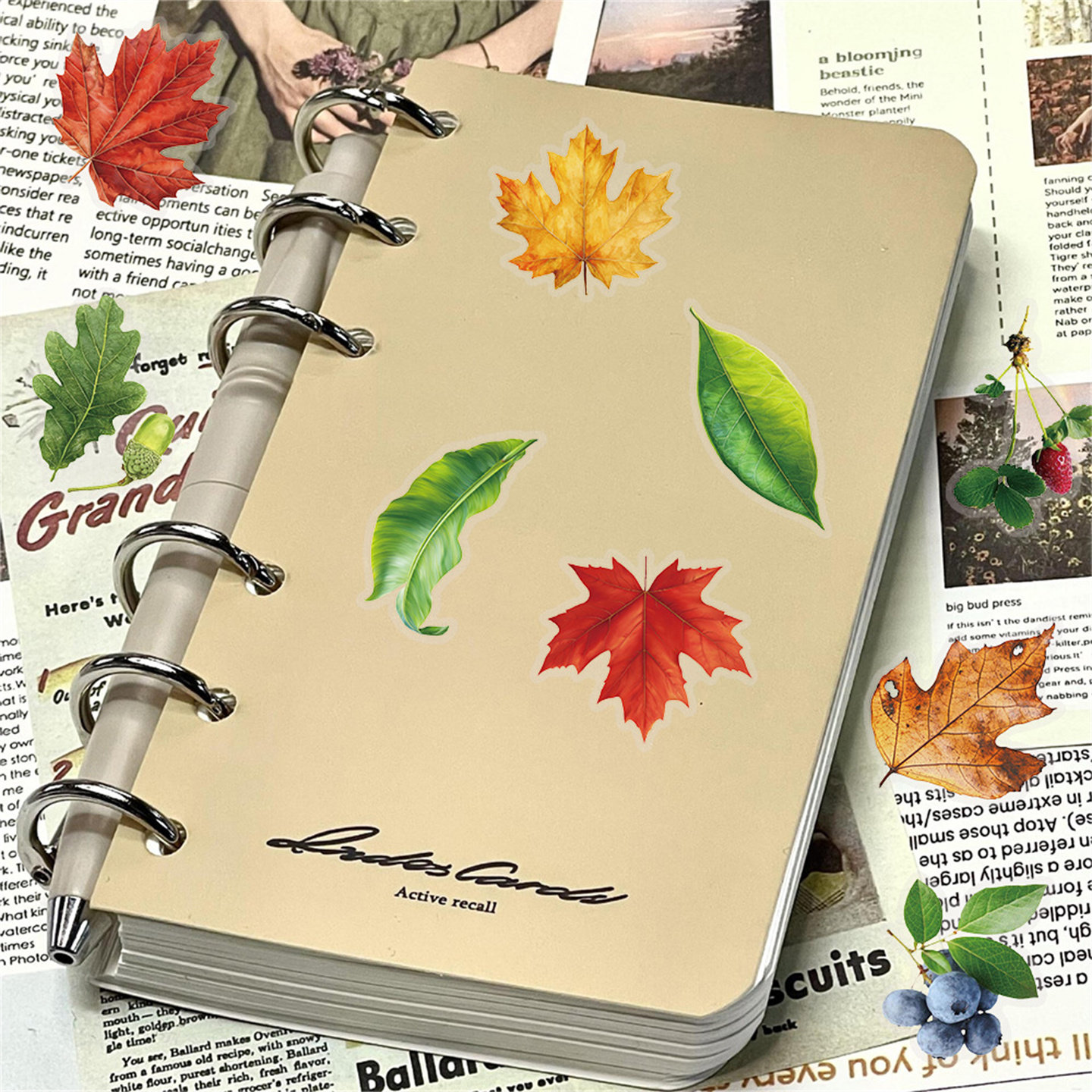 50张ins风树叶pet创意一树一叶植物自然收集录系列贴纸创意涂鸦笔记本行李箱冰箱滑板平板防水贴画,淘宝优惠券,粉丝福利购,淘宝优惠卷