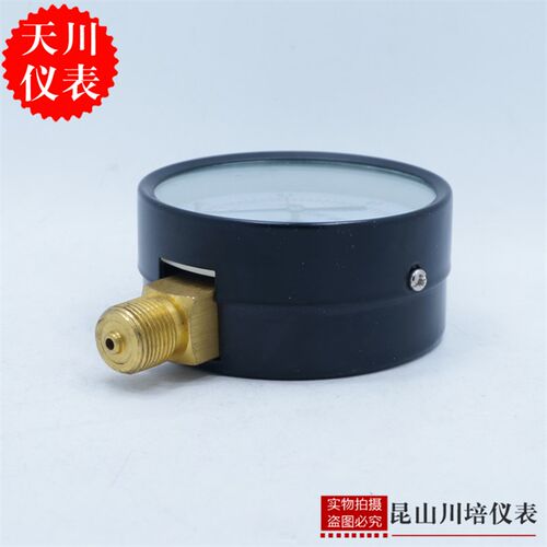 上海天川仪表厂Y-75一般弹簧管普通压力表STCIF3寸表面G3/8螺纹 - 图0