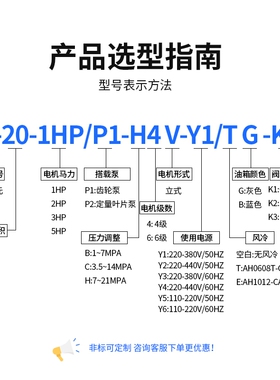 液压站总成小型动力单元液压泵油压机油压站配件液压系统高压20L