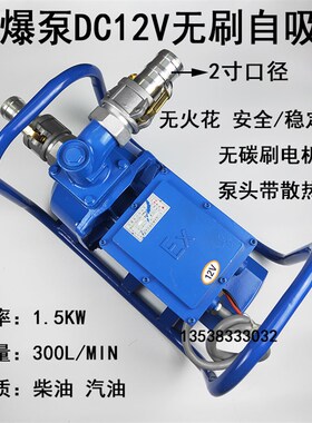 无刷防爆汽油泵12V24V220V小型大流量自吸泵电动抽油泵静音电控泵