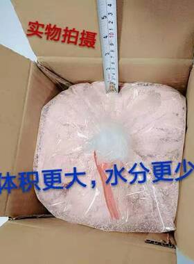 丽诚汽车机修理工业洗手粉去油污王洗手沙泥磨砂膏黑手变白手中性
