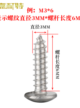 304不锈钢自攻螺丝大扁头十字自攻丝蘑菇头扁头伞头螺钉M3M4M5M6