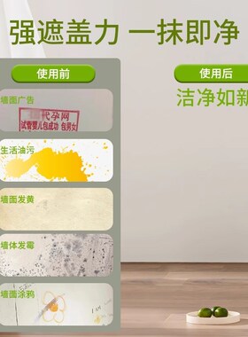 小滚刷补墙膏墙面修补膏墙壁自喷白色乳胶漆白墙自刷修复去污神器