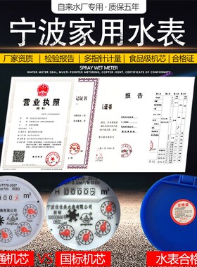 水表家用专用止回阀自来水商用宁波配件大全机械国标旋翼式6分螺