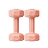 A pair of rubber-coated non-slip cement dumbbells for home muscle building