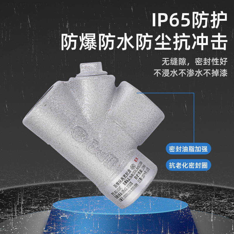防爆隔离密封盒接头BCG铝合金一寸Y Z P H型3/4封堵4 6分DN20纵向,淘宝优惠券,粉丝福利购,淘宝优惠卷