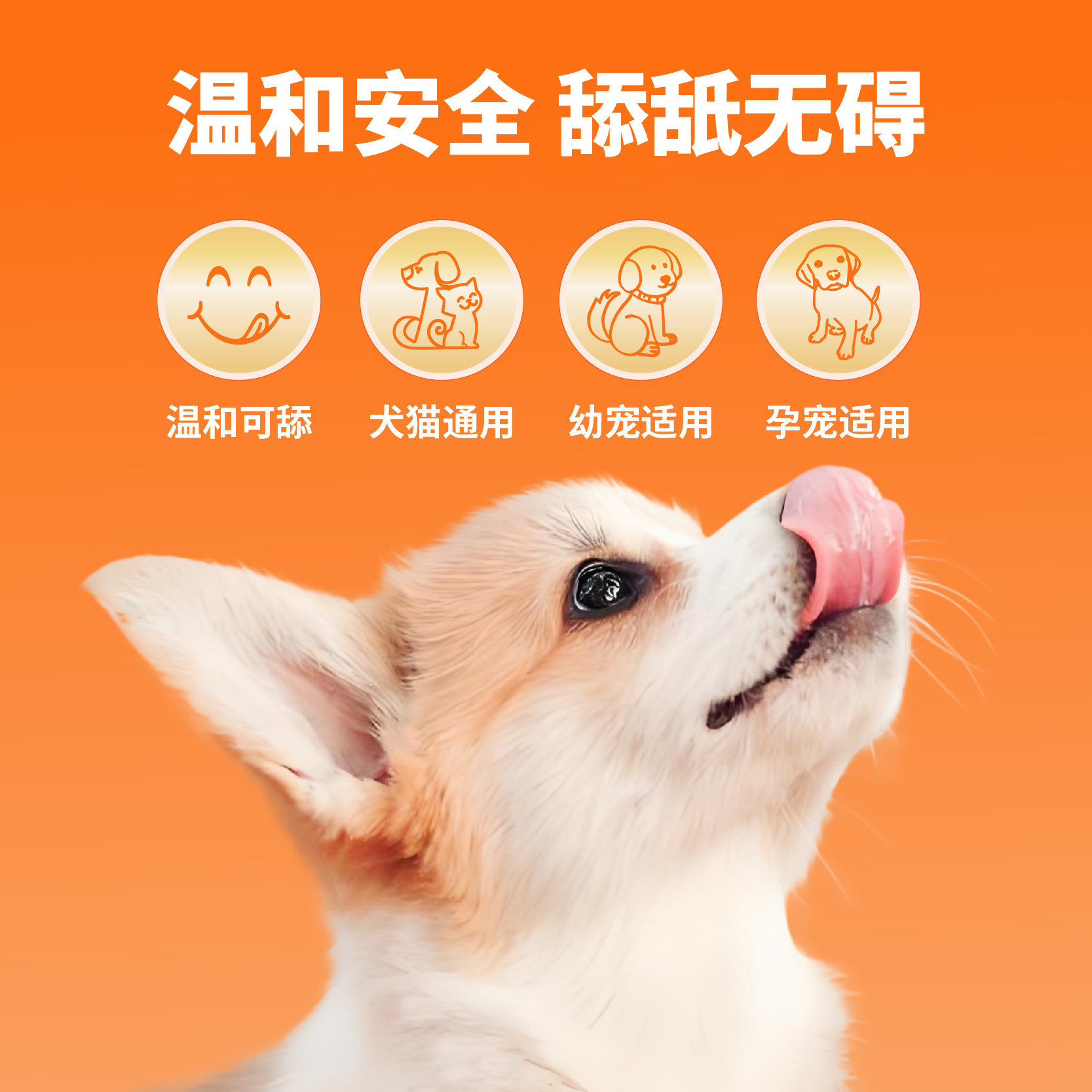 沐掌门  狗癣外用猫癣专用猫咪狗皮肤病真菌非药皮炎掉毛皮肤喷剂,淘宝优惠券,粉丝福利购,淘宝优惠卷