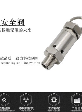 不锈钢304弹簧式外螺纹安全阀卸荷排气阀气泵压力锅泄压阀 1/4NPT