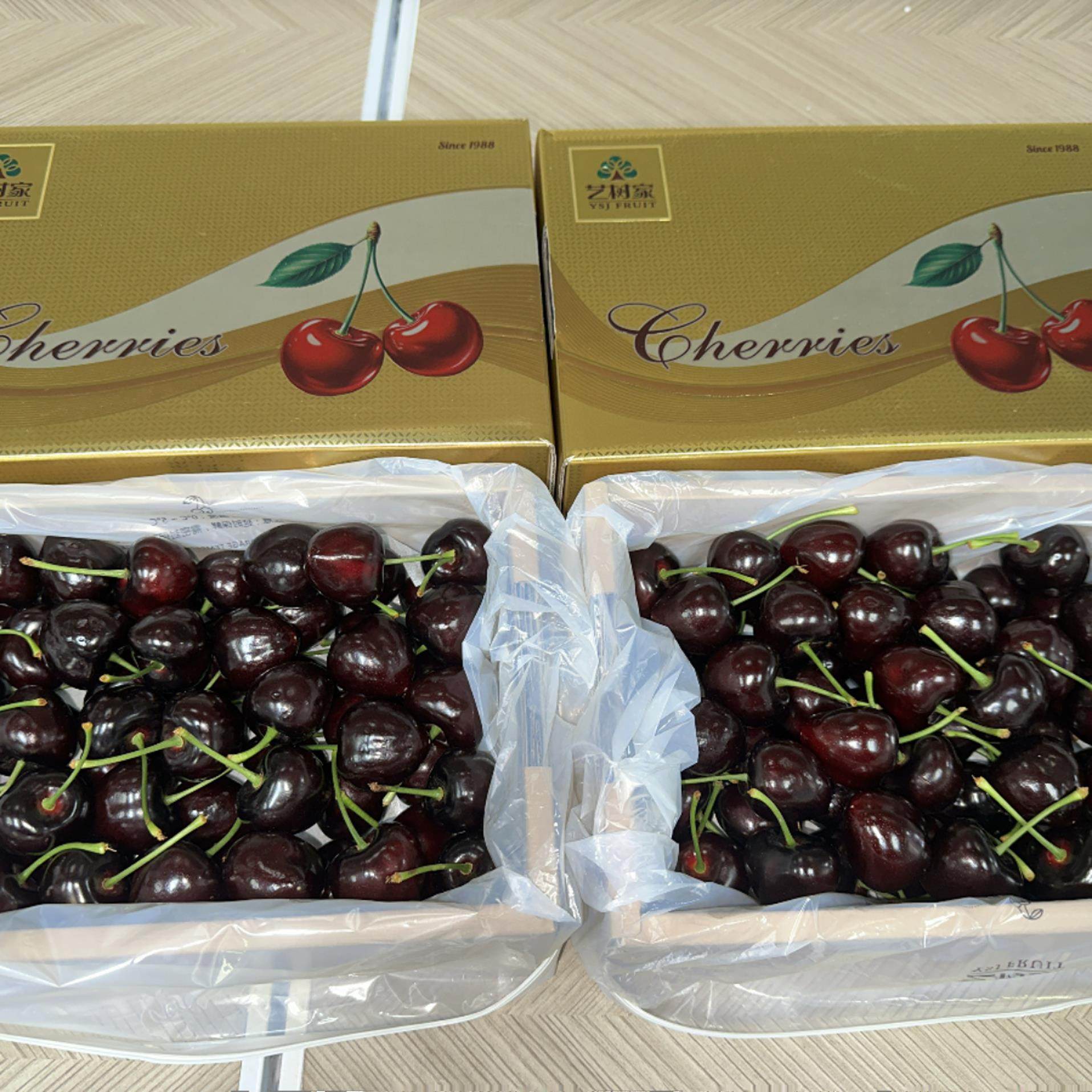 艺树家大连俄罗斯八号俄皇樱桃新鲜脆甜当季车厘子孕妇水果顺丰,淘宝优惠券,粉丝福利购,淘宝优惠卷