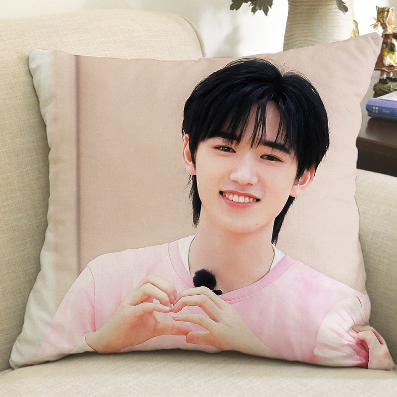 宋亚轩周边定制抱枕时代少年团刘耀文同款海报玩偶生日礼物靠垫,淘宝优惠券,粉丝福利购,淘宝优惠卷