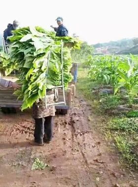 背柴背粮食背烟神器可折叠背架可拆卸替代背筐背篓