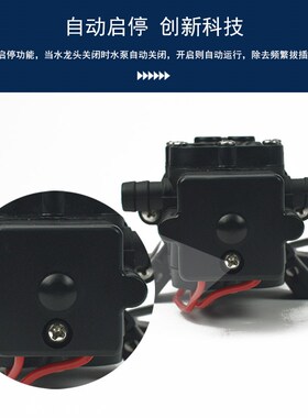 电动喷雾器12V24V自动高压隔膜泵小型打药机农用灌溉抽水泵自吸泵