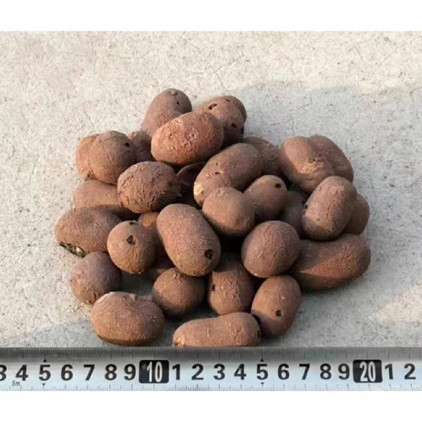 陶粒垫底花盆园艺陶土水培营养轻质颗粒盆栽多肉种植养花铺面石,淘宝优惠券,粉丝福利购,淘宝优惠卷