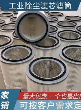 工业除尘滤芯滤筒六耳快拆静电喷涂喷塑粉末回收除尘器抛丸机滤芯