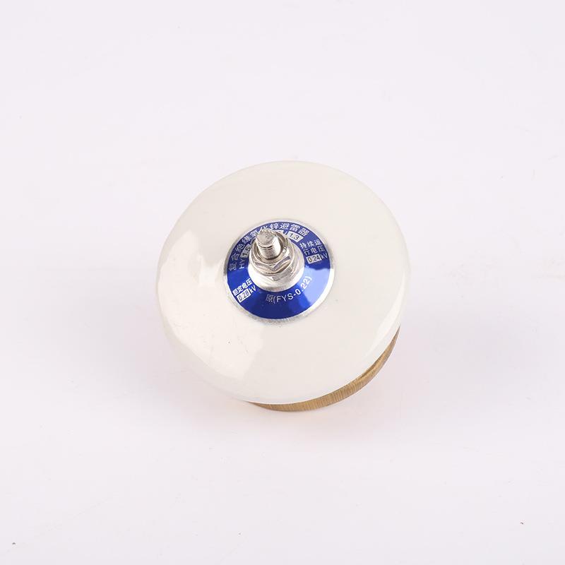 避雷器FYS-0.22陶瓷避雷器 避雷器 氧化锌避雷器陶瓷防雷保护器 - 图3