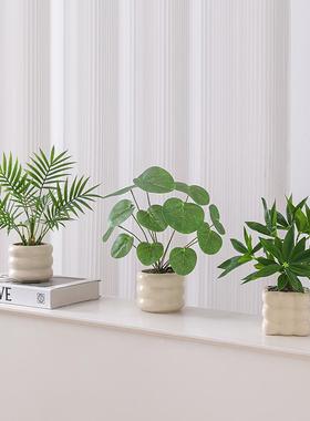 仿真绿植摆件假花拍摄道具桌面仿生植物家居装饰品小型盆栽发财树