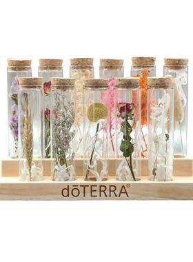 现代花艺阳台样板间书房桌面摆件饰品植物干花玻璃罩创意工具套装