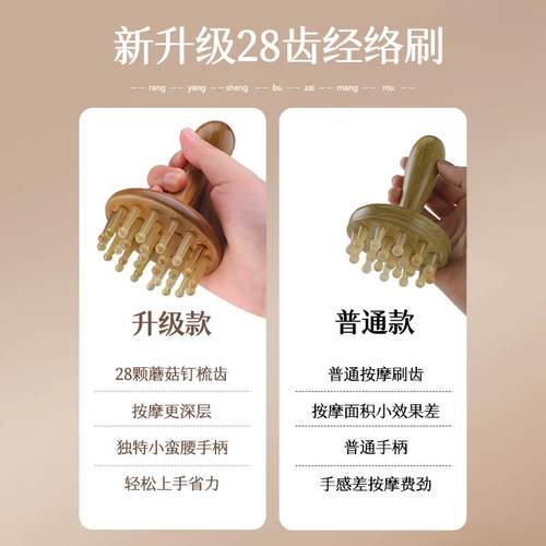 牛角经络刷肚子按摩梳全身通用带脉疏通神揉腹部器腿部刮痧推肝胆 - 图0