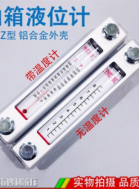 液位计油位计水位计液压油箱油标YWZ-80T100T125T127T150T200300T