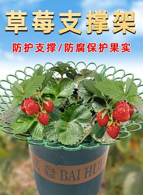 种菜阳台绿色托盘架盆栽大小号