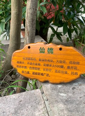 定制花草地牌树牌户外插地牌防腐实木质牌简介植物挂牌悬挂式标牌