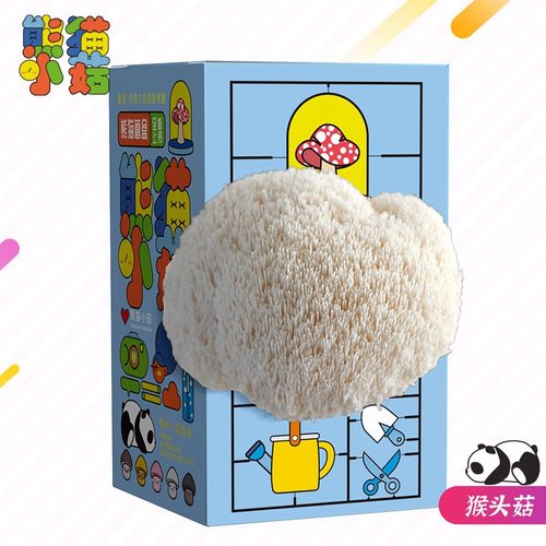 儿童种植小盆栽蘑菇盒子养殖盒学生观察绿植盲盒幼儿园科学材料 - 图1