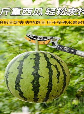 德国精工高空修剪树枝锯专用剪刀高枝锯加长杆采摘水果神器伸缩杆