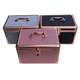 Gold technician tool box aluminum cosmetic box storage box ear picking pedicure foot bath treatment manicure YHP beauty size