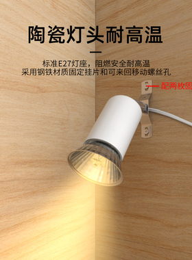 芦丁鸡保温灯套餐加热灯乌龟爬宠uva取暖uvb灯泡小鸡孵化灯育雏灯
