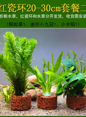 水草植物鱼缸真草造景淡水阴性蜈蚣草绿菊净水培菌新手好养套餐