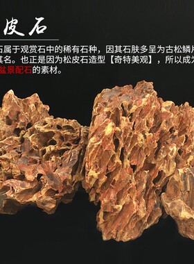 鱼缸天然原石松皮石假山造景石小块多孔大块石头水族箱装饰造景石