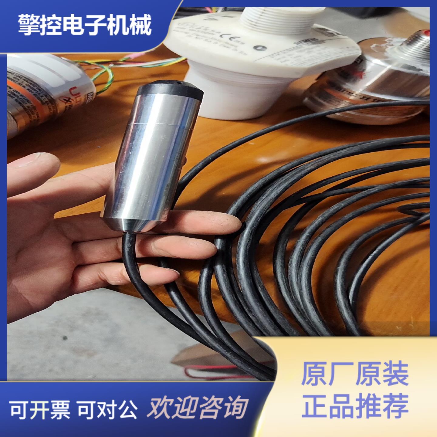 西门子投入式液位计，0—3米，7MF1572—1CA10--议价商品 - 图1