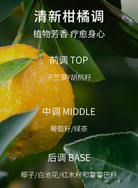 皙阁红木籽焕肤油面部按摩身体油