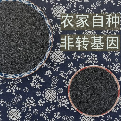 油菜籽种子鸽粮虎皮牡丹鹦鹉芙蓉鸟玉鸟鸟食 冬季养鸟 榨油 - 图2