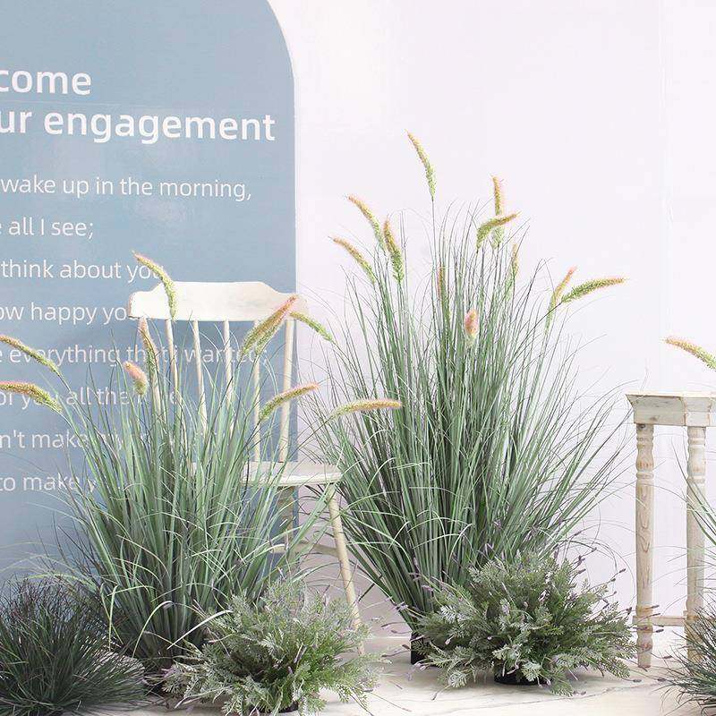现货仿真绿植猫尾巴草盆栽室内植物造景景观橱窗装饰芦苇草假花束,淘宝优惠券,粉丝福利购,淘宝优惠卷