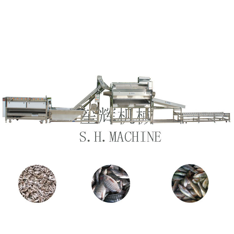 商用鲮鱼预洗提升滚动分选机水产机械设备罐装罗非鱼加工生产线,淘宝优惠券,粉丝福利购,淘宝优惠卷